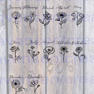 Birth month flower SVG: black line-art flowers with month names for January–December