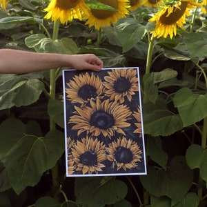 Botanical cat print featuring navy cat silhouette surrounded by sunflowers