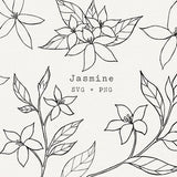 Jasmine Flower SVG, Jasmine Botanical Illustration for Commercial Use, Cut File for Cricut, Silhouette, Simple Line Art, Tattoo, Plant