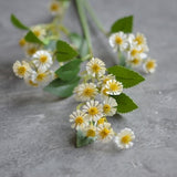 White Small Wildflowers, Faux White Yellow Chamomile Flowers, Small Common Daisy Wildflowers, Spring Fall WildFlowers