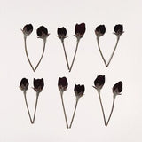 Pressed Tiny Crabapple Flowers for Crafts, Resin, Journal, Scrapbooking, Cardmaking - 12 pcs Natural Dark Tree Buds