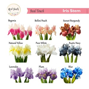 Assorted color bearded iris flower stems, Real Touch, 18-inch long decor