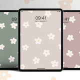 Bundle - 3 Daisy Flower iPad Wallpaper, Boho Floral iPad Wallpaper, Neutral Calm iPad Background, Aesthetic iPad Lockscreen