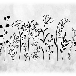 Single-sheet wildflower clipart: thin black silhouette outline flowers and stems
