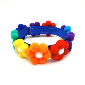 Flower pom-pom collar with multicolor pom-poms and blue adjustable strap