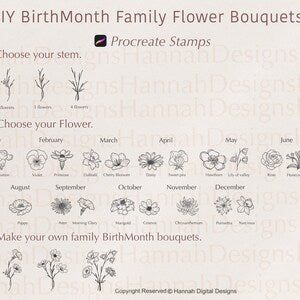 Birth month flower stamp set for Procreate, line-art flowers labeled Jan–Dec