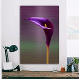 Metal Wall Art, Purple Calla Lily Elegant Floral Wall Decor, Free delivery USA, Canada