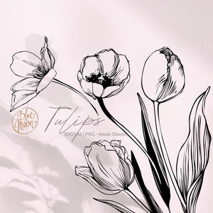 Tulip Flower, floral graphics. Set of svg, ai and png clipart files, digital download