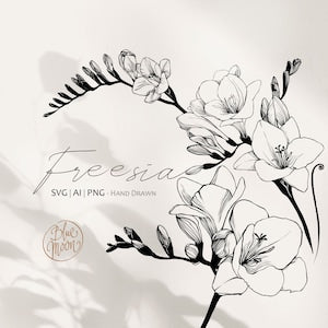 Hand-drawn freesia flower clipart, black and white floral line illustration