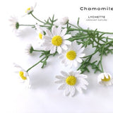 Crochet Flower Pattern for Chamomile Flower (Chamomile, Camomile crochet pattern)