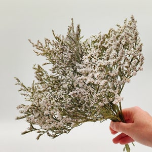 Dried statice bunch with small white flowers on airy stems, held by a hand