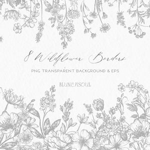 Wildflower border line art with delicate flowers and leaves, botanical line drawing