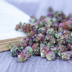 Dried red clover blossoms, green and purple buds in a small pile