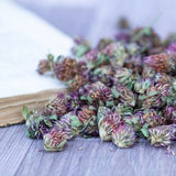 Organic Red Clover Blossom, Wild clover Dried Flowers Red Clover Trifolium Pratense Wild Natural Herb