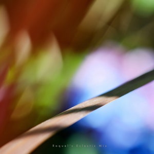 Abstract multicolored floral fine art download, close-up with soft blue and pink tones