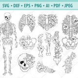 Skeleton parts SVG, Halloween skeleton svg, Flower Skeleton svg, Floral Skull Svg, Skeleton clipart, Human bones Svg, Svg cut file, jpg, dxf