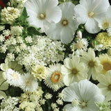 White Mix Cutting Garden SEEDS cut flower bouquet florist wedding bouquet from Dizzy Bees Urban Urban Garden