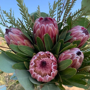 Pink and purple protea bouquet with green leaves