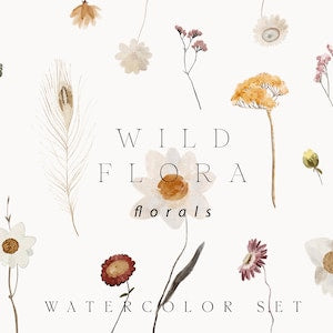 Watercolor wildflower clipart set with dried flowers and stems, plus WILD FLORAL text