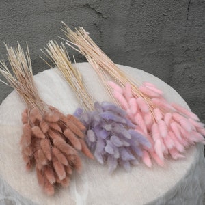 Dried bunnytails bunches of preserved lagurus with pastel pink, lavender, beige, and brown plumes