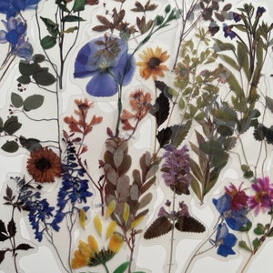 Transparent wildflower stickers with stems and petals, assorted blue and brown flowers