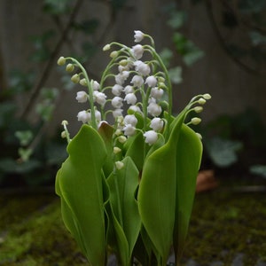 Lily of the valley flower arrangement with white bell blooms and green leaves