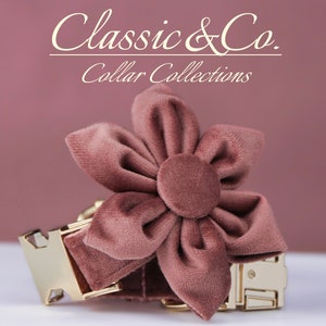 Velvet dog collar with large fabric flower bow and metal name plate