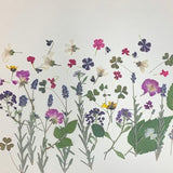 Edible, Dried And Pressed Flowers And Leaves Organic Field Mix