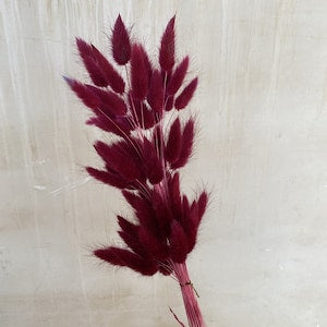 50-60X Rose/Maroon Wedding Decor/PAMPAS GRASS/Terracotta Colored Dried Flowers/Dried Pampas Grass/Wedding Decor/Tall Vase