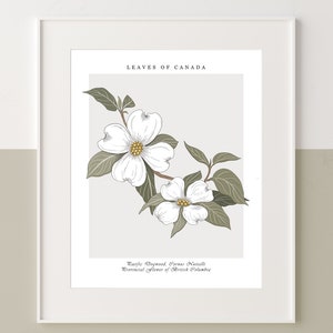 Framed botanical wall art print with white dogwood blossoms and green leaves