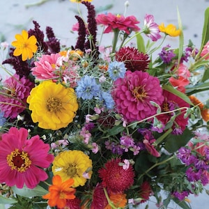 1000+ Cutting Garden Annual Mix SEEDS cut flower bouquet florist wedding Dizzy Bees Urban Garden