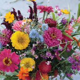 1000+ Cutting Garden Annual Mix SEEDS cut flower bouquet florist wedding Dizzy Bees Urban Garden