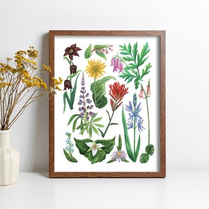 Botanical illustration print in a brown wood frame, featuring green plants and colorful wildflowers