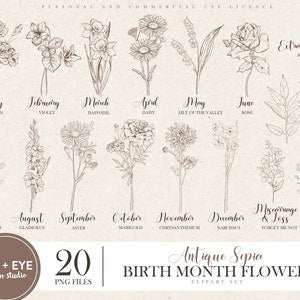 Sepia birth month flower clipart bundle, antique line-drawn flowers labeled with months