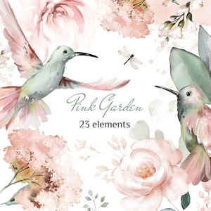 Watercolor floral clipart with pink roses, hummingbird and bird, green leaves