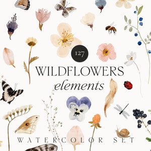 Watercolor wildflower clipart set with butterflies and pressed flower elements, transparent PNG