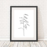Minimalist black and white botanical illustration, plant art print, 5x7, A5, 8x10, A4, 11x14 and A3 sizes available, free UK delivery