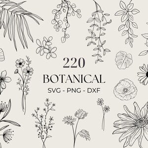 Botanical SVG bundle with line art flowers and leaves, 220 elements shown