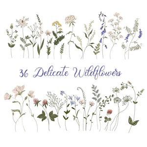 Wildflower machine embroidery design set with 36 delicate mini floral sketches