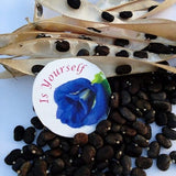 Blue Butterfly Pea Flower Seeds, Clitoria ternatea, Best  garden flower seeds, butterfly pea vine seeds, Select seeds amount