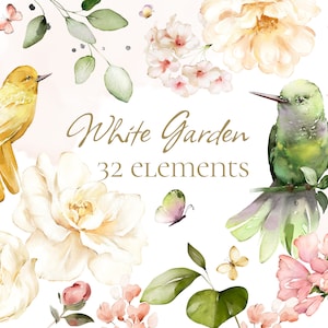 Watercolor floral clipart set with white roses, green leaves, and hummingbirds