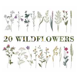20 wildflower and grass embroidery design set with assorted botanical stems and blossoms