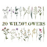 20 Wild flowers and Grass Machine Embroidery Design, Easter Floral Meadow Flower Botanical Bouquet Instant Download Zip - 5 Sizes
