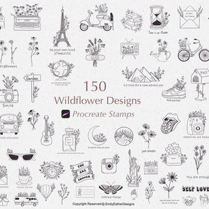 Procreate wildflower stamp bundle with botanical line art stamps