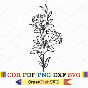 Lily flower botanical line art: black outline single stem with blossoms