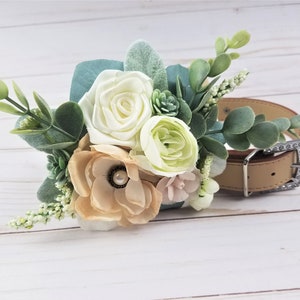 Beige dog collar with cream and peach rose and green succulent flower arrangement