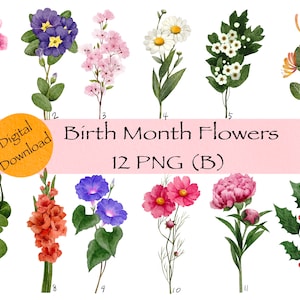 Birth month flowers clipart PNG set with 12 assorted flower bouquets