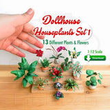 Dollhouse Miniatures Houseplants Decor. 1:12 Scale. 13 Different, Paper Craft Plants& Flowers. Printable PDF Files, Instant Digital DOWNLOAD