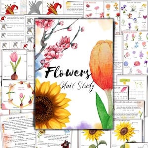 Flowers unit study workbook cover with sunflower and tulip illustrations and worksheet layout