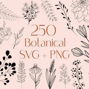 Botanical SVG + PNG bundle cover with line-art flowers, leaves, branches, and 250 text